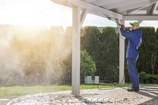 Best Sidewalk and Walkway Cleaning  in North Chicago, IL